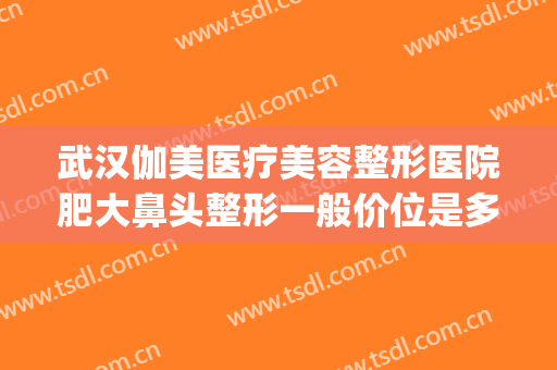 武汉伽美医疗美容整形医院肥大鼻头整形一般价位是多少?可靠吗?(正规美容整形医院武汉有几个)