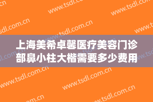 上海美希卓馨医疗美容门诊部鼻小柱大楷需要多少费用?可靠吗?(上海美希卓馨医疗美容好不好)