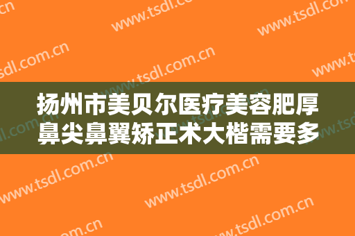 扬州市美贝尔医疗美容肥厚鼻尖鼻翼矫正术大楷需要多少费用?有哪些优势?