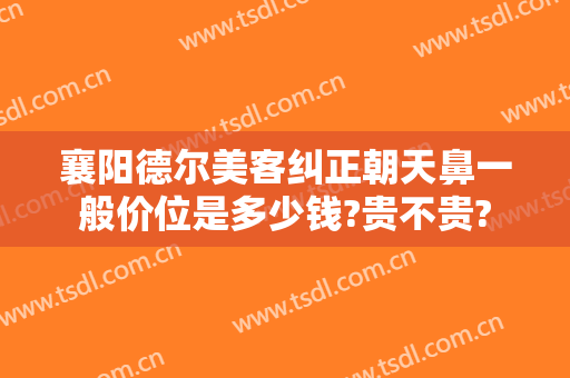 襄阳德尔美客纠正朝天鼻一般价位是多少钱?贵不贵?