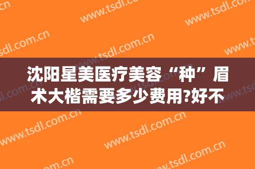 沈阳星美医疗美容“种”眉术大楷需要多少费用?好不好?(沈阳整形美容医院费用)