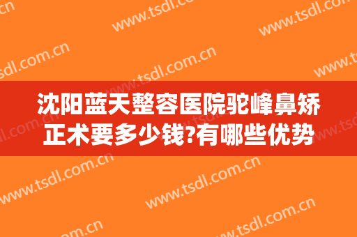 沈阳蓝天整容医院驼峰鼻矫正术要多少钱?有哪些优势?(沈阳隆鼻多少钱)