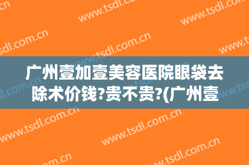 广州壹加壹美容医院眼袋去除术价钱?贵不贵?(广州壹加医疗美容医院怎么样是公立吗)