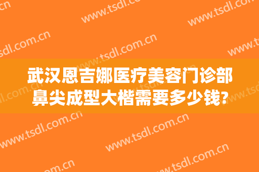 武汉恩吉娜医疗美容门诊部鼻尖成型大楷需要多少钱?贵不贵?(武汉恩吉娜做双眼皮怎么样)