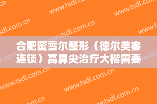 合肥蜜雪尔整形（德尔美客连锁）高鼻尖治疗大楷需要多少费用?效果怎么样?