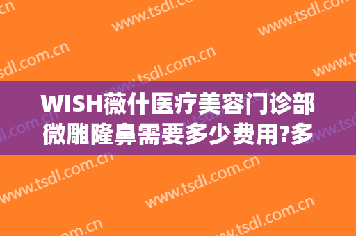 WISH薇什医疗美容门诊部微雕隆鼻需要多少费用?多长时间恢复?(薇琳医疗美容怎么样)