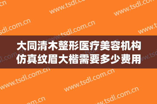 大同清木整形医疗美容机构仿真纹眉大楷需要多少费用?有哪些优势?(大同清木整形医院专家有哪些)