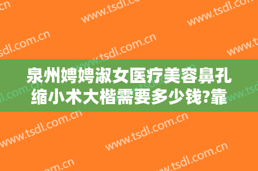 泉州娉娉淑女医疗美容鼻孔缩小术大楷需要多少钱?靠谱吗?