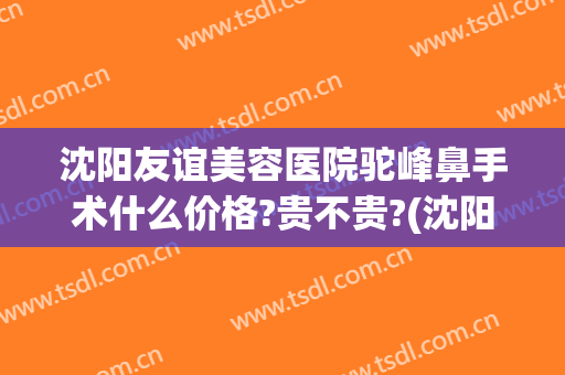 沈阳友谊美容医院驼峰鼻手术什么价格?贵不贵?(沈阳鼻部整形好的医院)
