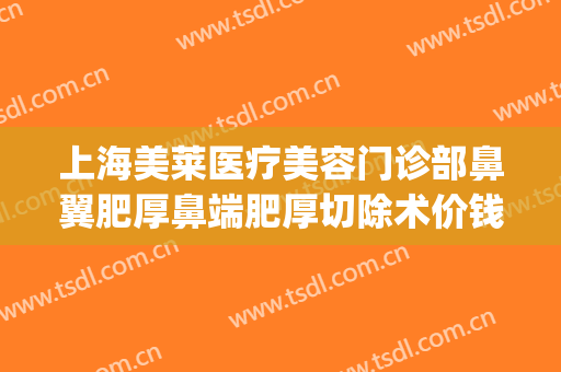 上海美莱医疗美容门诊部鼻翼肥厚鼻端肥厚切除术价钱?靠谱吗?(上海医院鼻翼整形)
