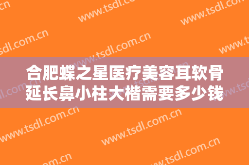 合肥蝶之星医疗美容耳软骨延长鼻小柱大楷需要多少钱?需要多久恢复?