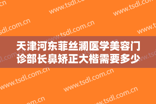 天津河东菲丝澜医学美容门诊部长鼻矫正大楷需要多少费用?好不好?