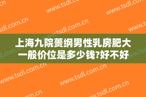 上海九院蒉纲男性乳房肥大一般价位是多少钱?好不好?