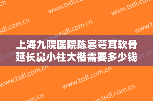上海九院医院陈寒萼耳软骨延长鼻小柱大楷需要多少钱?有哪些优势?