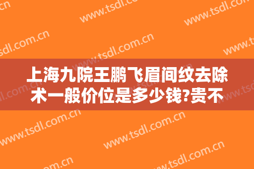 上海九院王鹏飞眉间纹去除术一般价位是多少钱?贵不贵?