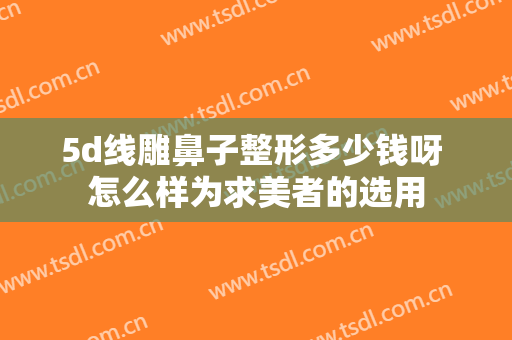 5d线雕鼻子整形多少钱呀 怎么样为求美者的选用