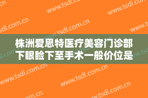 株洲爱思特医疗美容门诊部下眼睑下至手术一般价位是多少钱?怎么样?
