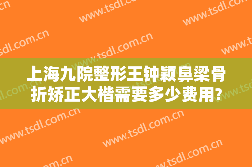 上海九院整形王钟颖鼻梁骨折矫正大楷需要多少费用?靠谱吗?