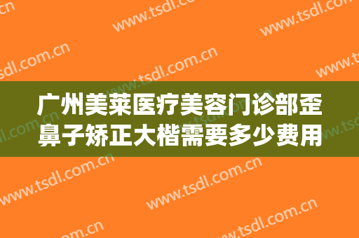 广州美莱医疗美容门诊部歪鼻子矫正大楷需要多少费用?好不好?(美莱整形医院广州)