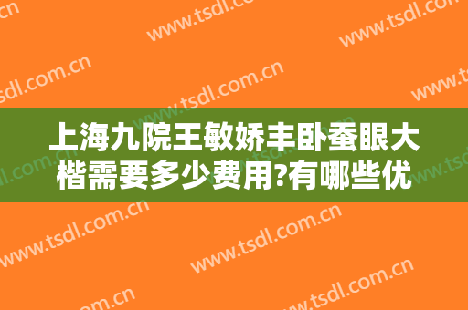 上海九院王敏娇丰卧蚕眼大楷需要多少费用?有哪些优势?