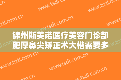 锦州斯美诺医疗美容门诊部肥厚鼻尖矫正术大楷需要多少费用?贵不贵?