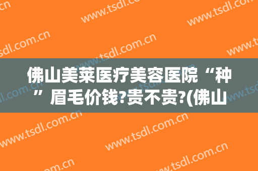 佛山美莱医疗美容医院“种”眉毛价钱?贵不贵?(佛山纹眉多少钱)