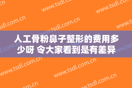 人工骨粉鼻子整形的费用多少呀 令大家看到是有差异的的立体