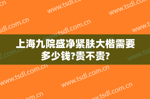 上海九院盛净紧肤大楷需要多少钱?贵不贵?