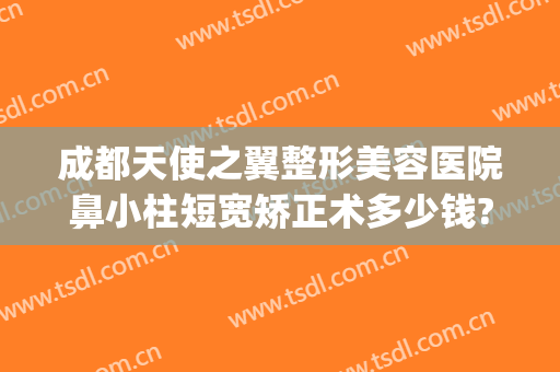 成都天使之翼整形美容医院鼻小柱短宽矫正术多少钱?怎么样?(成都天使之翼整形医院电话)