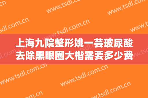 上海九院整形姚一芸玻尿酸去除黑眼圈大楷需要多少费用?贵不贵?