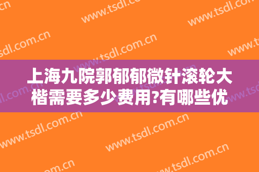 上海九院郭郁郁微针滚轮大楷需要多少费用?有哪些优势?
