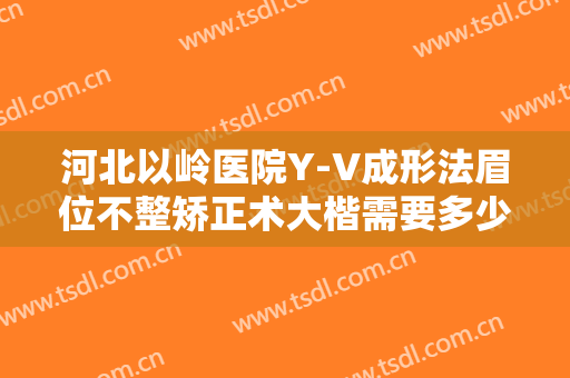 河北以岭医院Y-V成形法眉位不整矫正术大楷需要多少费用?贵不贵?