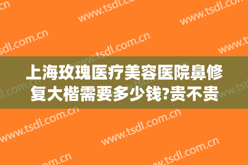 上海玫瑰医疗美容医院鼻修复大楷需要多少钱?贵不贵?(上海隆鼻修复多少钱)