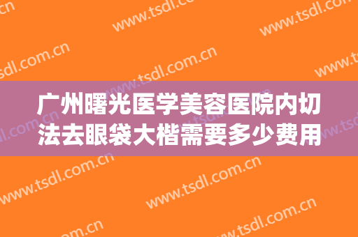 广州曙光医学美容医院内切法去眼袋大楷需要多少费用?贵不贵?(广州正规医院去眼袋手术)