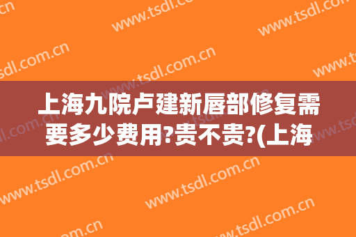 上海九院卢建新唇部修复需要多少费用?贵不贵?(上海九院嘴唇疤痕修复)