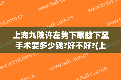 上海九院许左隽下眼睑下至手术要多少钱?好不好?(上海九院做上眼睑下垂手术哪个医生做的好)