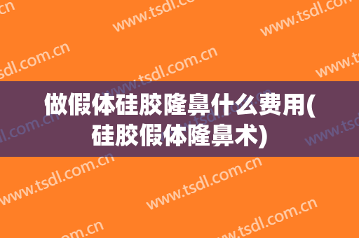 做假体硅胶隆鼻什么费用(硅胶假体隆鼻术)