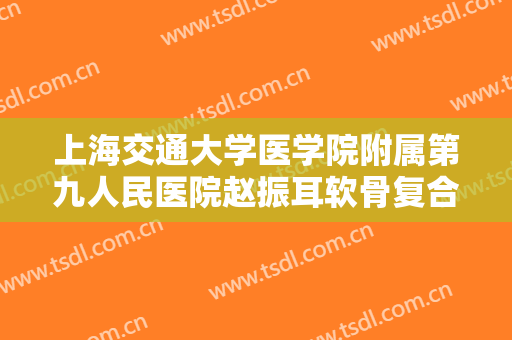 上海交通大学医学院附属第九人民医院赵振耳软骨复合隆鼻大楷需要多少费用?怎么样?