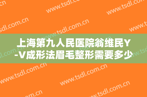 上海第九人民医院翁维民Y-V成形法眉毛整形需要多少费用?可靠吗?