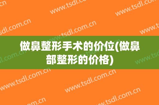 做鼻整形手术的价位(做鼻部整形的价格)