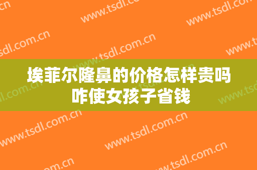 埃菲尔隆鼻的价格怎样贵吗 咋使女孩子省钱