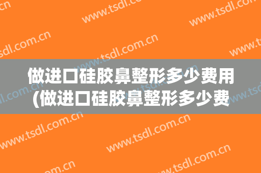 做进口硅胶鼻整形多少费用(做进口硅胶鼻整形多少费用合适)