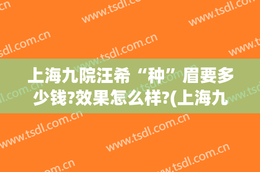 上海九院汪希“种”眉要多少钱?效果怎么样?(上海九院提眉多少钱)
