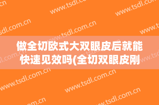 做全切欧式大双眼皮后就能快速见效吗(全切双眼皮刚做完效果)