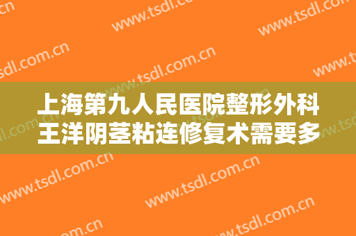 上海第九人民医院整形外科王洋阴茎粘连修复术需要多少钱?有哪些优势?