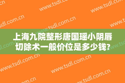 上海九院整形唐国瑶小阴唇切除术一般价位是多少钱?怎么样?