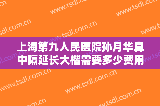 上海第九人民医院孙月华鼻中隔延长大楷需要多少费用?可靠吗?