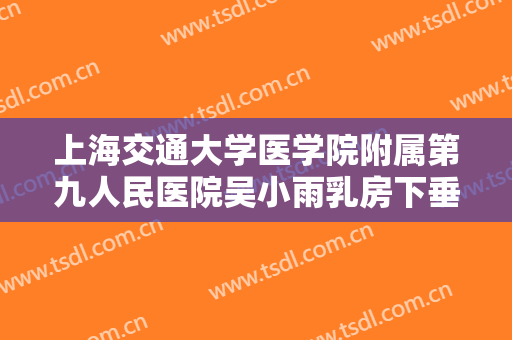 上海交通大学医学院附属第九人民医院吴小雨乳房下垂矫正一般价位是多少?好不好?