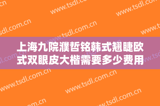 上海九院濮哲铭韩式翘睫欧式双眼皮大楷需要多少费用?效果怎么样?
