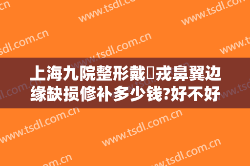 上海九院整形戴尅戎鼻翼边缘缺损修补多少钱?好不好?